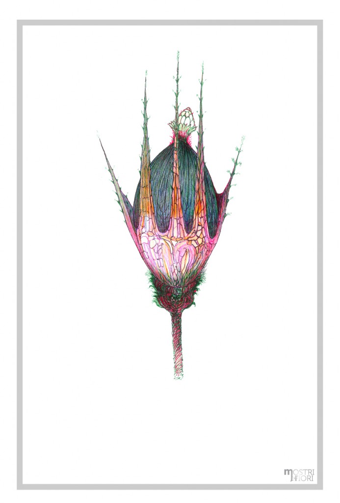 Fiori-Marcello-Ciampa-6